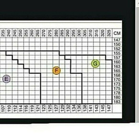 Two Spanx Womens Footless Higher Power Capri Nude Sheer Size G Not High Waist - Picture 9 of 10